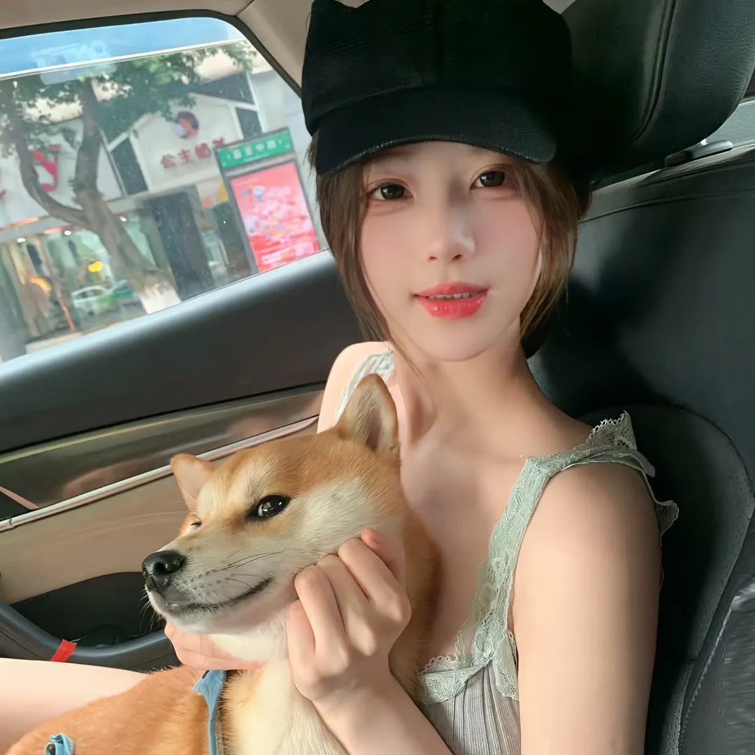 草原之路海报