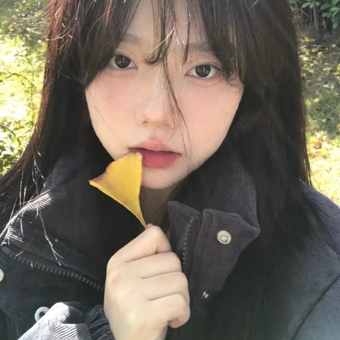 女人的秘密海报