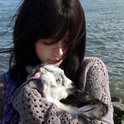 思无邪海报